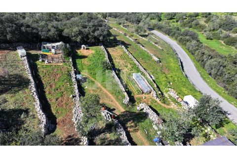 Helårsgrund i Estoi, Faro, Estoi - € 150.000 | Ref: UNU.I.1776.20554 - foto 3