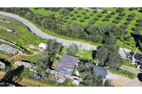 Helårsgrund i Estoi, Faro, Estoi - € 150.000 | Ref: UNU.I.1776.20554 - foto 20