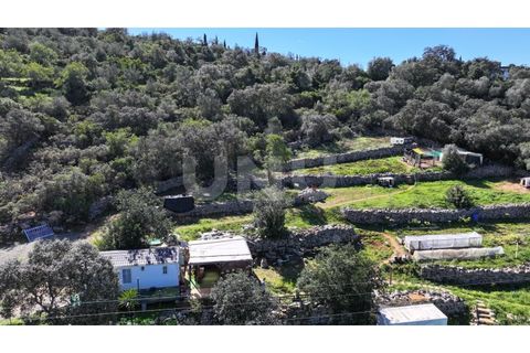 Helårsgrund i Estoi, Faro, Estoi - € 150.000 | Ref: UNU.I.1776.20554 - foto 21
