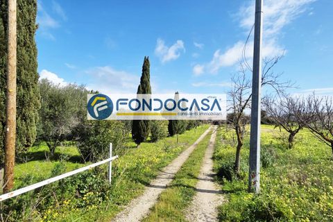 Villa i Brindisi, Brindisi, Brindisi - € 129.000 | Ref: 205 - foto 2