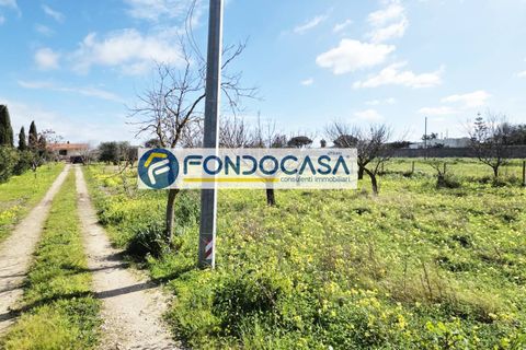 Villa i Brindisi, Brindisi, Brindisi - € 129.000 | Ref: 205 - foto 3