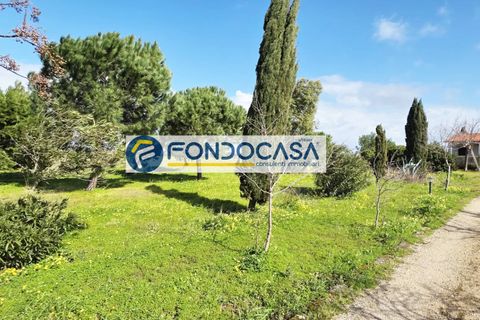 Villa i Brindisi, Brindisi, Brindisi - € 129.000 | Ref: 205 - foto 11