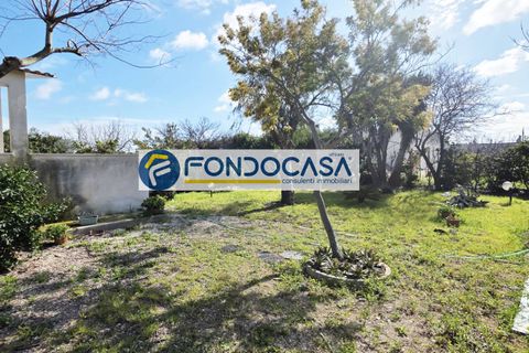 Villa i Brindisi, Brindisi, Brindisi - € 129.000 | Ref: 205 - foto 12