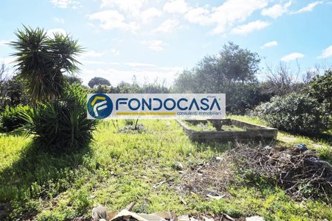 Villa i Brindisi, Brindisi, Brindisi - € 129.000 | Ref: 205 - foto 18