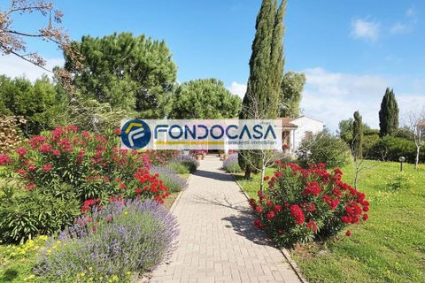Villa i Brindisi, Brindisi, Brindisi - € 129.000 | Ref: 205 - foto 30