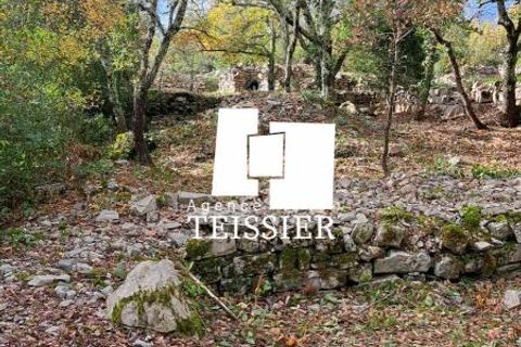 Tomt i Les Vans, Ardeche, Les Vans - € 48 000 | Ref: 6383-TEISSIERLESVANS07 - foto 2