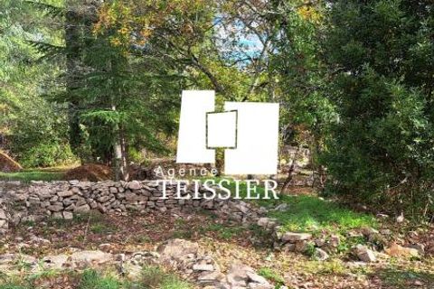 Tomt i Les Vans, Ardeche, Les Vans - € 48 000 | Ref: 6383-TEISSIERLESVANS07 - foto 4