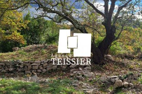Tomt i Les Vans, Ardeche, Les Vans - € 48 000 | Ref: 6383-TEISSIERLESVANS07 - foto 8