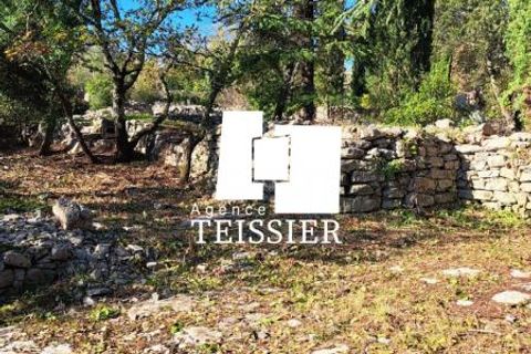 Tomt i Les Vans, Ardeche, Les Vans - € 48 000 | Ref: 6383-TEISSIERLESVANS07 - foto 9