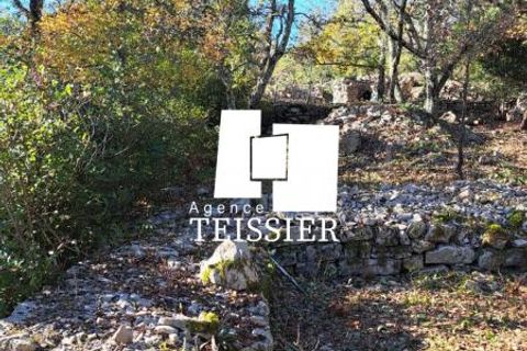 Tomt i Les Vans, Ardeche, Les Vans - € 48 000 | Ref: 6383-TEISSIERLESVANS07 - foto 12