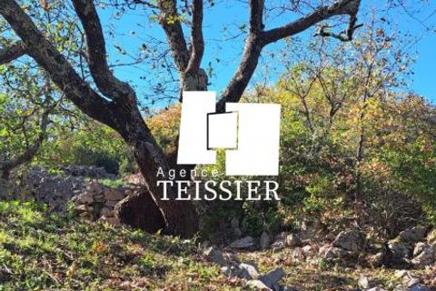 Tomt i Les Vans, Ardeche, Les Vans - € 48 000 | Ref: 6383-TEISSIERLESVANS07 - foto 13