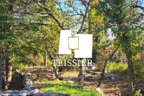 Tomt i Les Vans, Ardeche, Les Vans - € 48 000 | Ref: 6383-TEISSIERLESVANS07 - foto 15