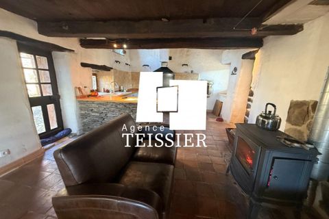 Herregård i Dompnac, Ardeche, Dompnac - € 205 000 | Ref: 6366-TEISSIERLESVANS07 - foto 5