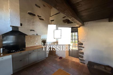 Herregård i Dompnac, Ardeche, Dompnac - € 205 000 | Ref: 6366-TEISSIERLESVANS07 - foto 12
