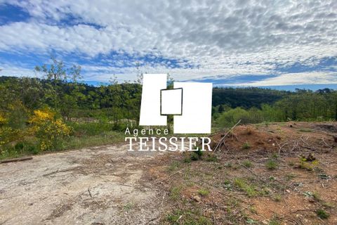 Terra a Chambonas, Ardeche, Chambonas - € 102.000 | Ref: 6154-TEISSIERLESVANS07 - foto 13