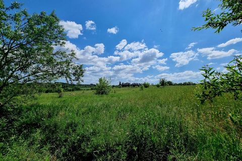 Terra a Montagnac, Herault, Montagnac - € 127.000 | Ref: 34-MTG-HB-3 - foto 5