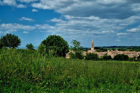Helårsgrund i Montagnac, Herault, Montagnac - € 185.000 | Ref: 34-MON-HB-2 - foto 3