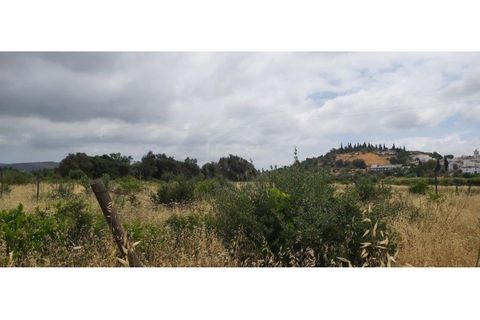 Helårsgrund i Paderne, Faro, Paderne - € 15.000 | Ref: 00/T/18391 - foto 4