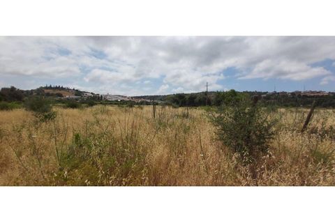 Helårsgrund i Paderne, Faro, Paderne - € 15.000 | Ref: 00/T/18391 - foto 9
