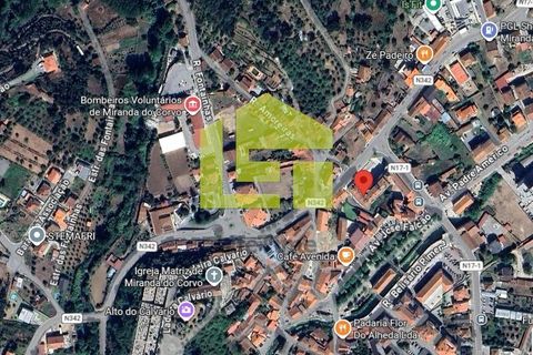 Erhvervsejendom i Miranda do Corvo, Coimbra, Miranda do Corvo - € 265.000 | Ref: LT1459 - foto 11