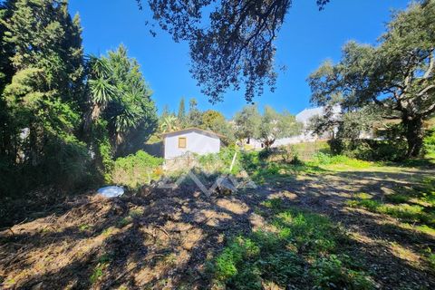 Helårsgrund i San Roque, Cadiz, San Roque - € 399.000 | Ref: MPA-0100 - foto 5