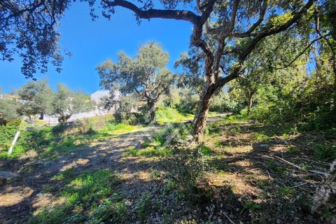 Helårsgrund i San Roque, Cadiz, San Roque - € 399.000 | Ref: MPA-0100 - foto 6