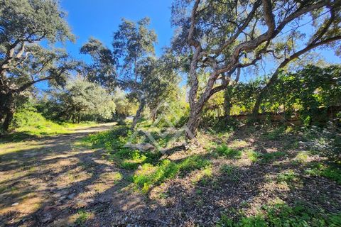 Helårsgrund i San Roque, Cadiz, San Roque - € 399.000 | Ref: MPA-0100 - foto 7