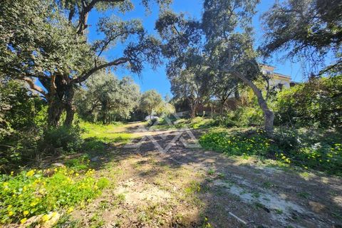 Helårsgrund i San Roque, Cadiz, San Roque - € 399.000 | Ref: MPA-0100 - foto 10
