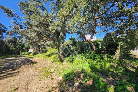 Helårsgrund i San Roque, Cadiz, San Roque - € 399.000 | Ref: MPA-0100 - foto 11