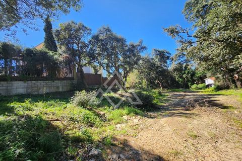 Helårsgrund i San Roque, Cadiz, San Roque - € 399.000 | Ref: MPA-0100 - foto 12