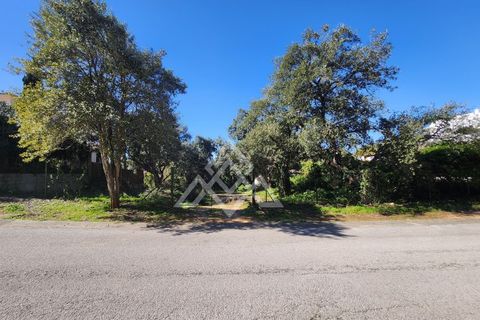 Helårsgrund i San Roque, Cadiz, San Roque - € 399.000 | Ref: MPA-0100 - foto 14