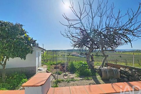 Rækkehus i Estremoz, Evora, Estremoz - € 60.000 | Ref: 808233 - foto 21