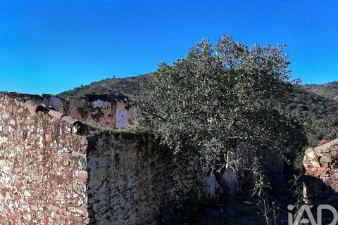 Tomt i Silves, Faro, Silves - € 94 500 | Ref: 826857 - foto 12
