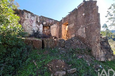 Tomt i Silves, Faro, Silves - € 94 500 | Ref: 826857 - foto 2