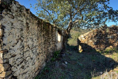 Tomt i Silves, Faro, Silves - € 94 500 | Ref: 826857 - foto 16