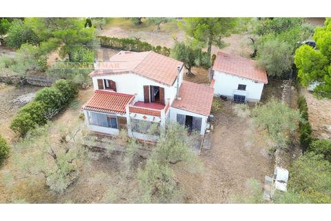 Villa i L'Ampolla, Tarragona, L'Ampolla - € 198.000 | Ref: CAS_203 - foto 2