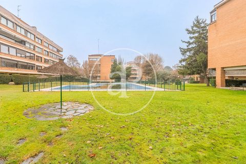 Leilighet i La Moraleja, Madrid, La Moraleja - € 1 550 000 | Ref: VMN2602012 - foto 17