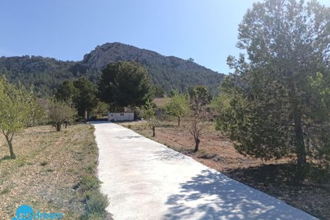 Villa a Abanilla, Murcia, Abanilla - € 385.000 | Ref: SDP05461SMA/3696 - foto 13