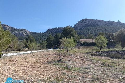 Villa a Abanilla, Murcia, Abanilla - € 385.000 | Ref: SDP05461SMA/3696 - foto 16