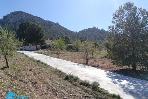 Villa a Abanilla, Murcia, Abanilla - € 385.000 | Ref: SDP05461SMA/3696 - foto 23