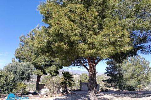 Villa a Abanilla, Murcia, Abanilla - € 385.000 | Ref: SDP05461SMA/3696 - foto 34