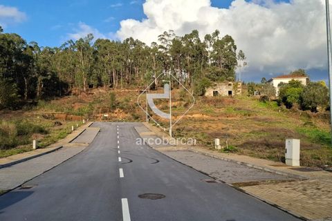 Terra a Ponte de Lima, Viana do Castelo, Ponte de Lima - € 105.000 | Ref: AV6617 - foto 4