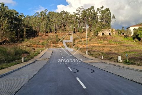 Terra a Ponte de Lima, Viana do Castelo, Ponte de Lima - € 105.000 | Ref: AV6617 - foto 5