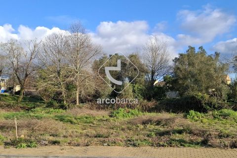 Terra a Ponte de Lima, Viana do Castelo, Ponte de Lima - € 105.000 | Ref: AV6617 - foto 6
