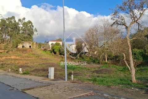 Terra a Ponte de Lima, Viana do Castelo, Ponte de Lima - € 105.000 | Ref: AV6617 - foto 9