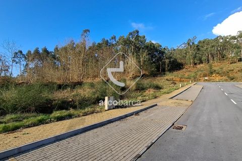 Terra a Ponte de Lima, Viana do Castelo, Ponte de Lima - € 105.000 | Ref: AV6619 - foto 4