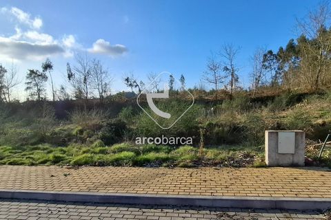 Terra a Ponte de Lima, Viana do Castelo, Ponte de Lima - € 105.000 | Ref: AV6619 - foto 6