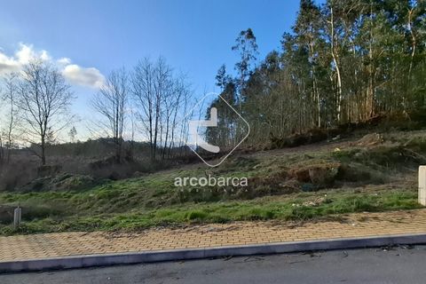 Terra a Ponte de Lima, Viana do Castelo, Ponte de Lima - € 105.000 | Ref: AV6619 - foto 8