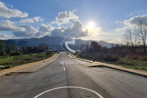 Terra a Ponte de Lima, Viana do Castelo, Ponte de Lima - € 105.000 | Ref: AV6619 - foto 12