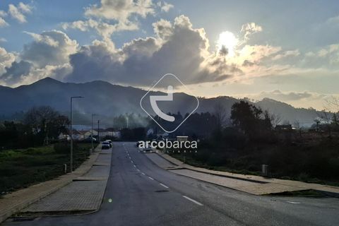 Terra a Ponte de Lima, Viana do Castelo, Ponte de Lima - € 105.000 | Ref: AV6619 - foto 14